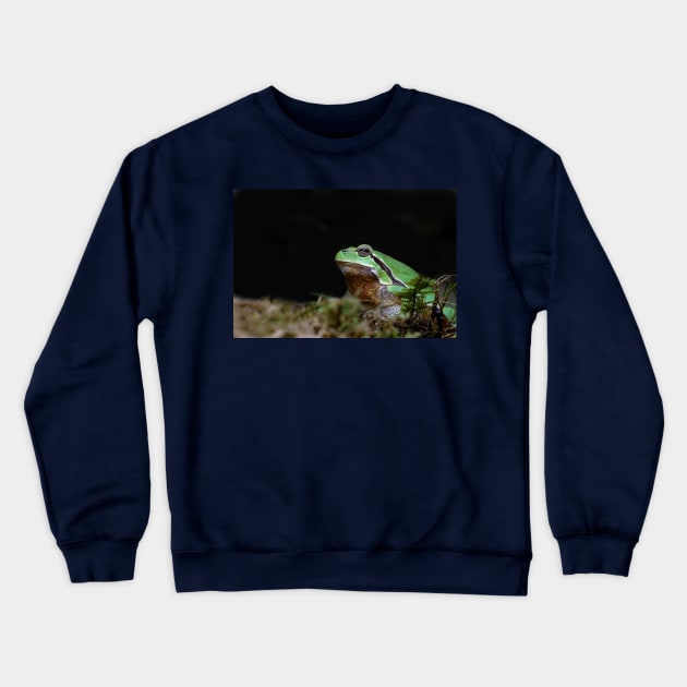 r676/ A Kind Frog Palmé -Grenouille verte palmé  " simply life " to Okaio Créations - Olavia-Olao Crewneck Sweatshirt by caillaudolivier